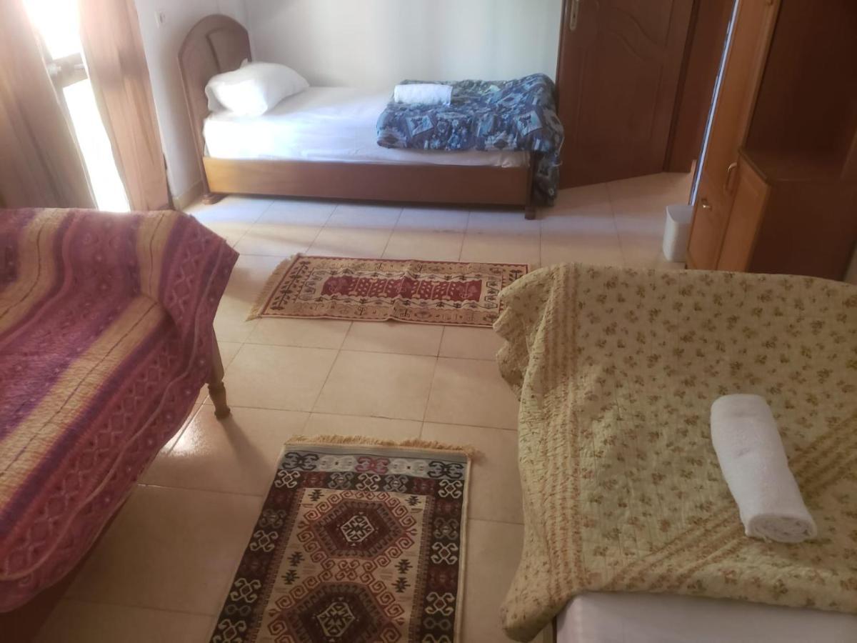 Hostel Split Rock Tiranë Ngoại thất bức ảnh