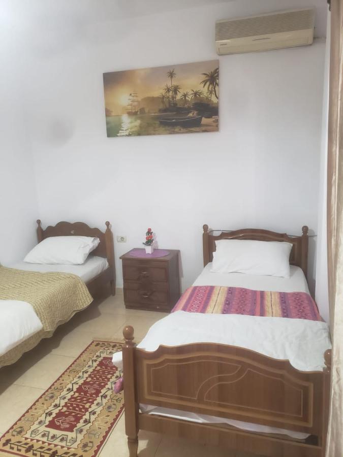 Hostel Split Rock Tiranë Ngoại thất bức ảnh