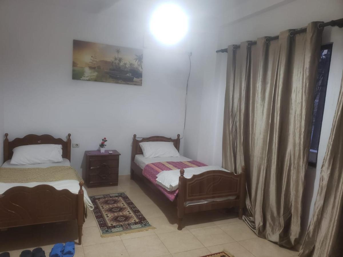 Hostel Split Rock Tiranë Ngoại thất bức ảnh