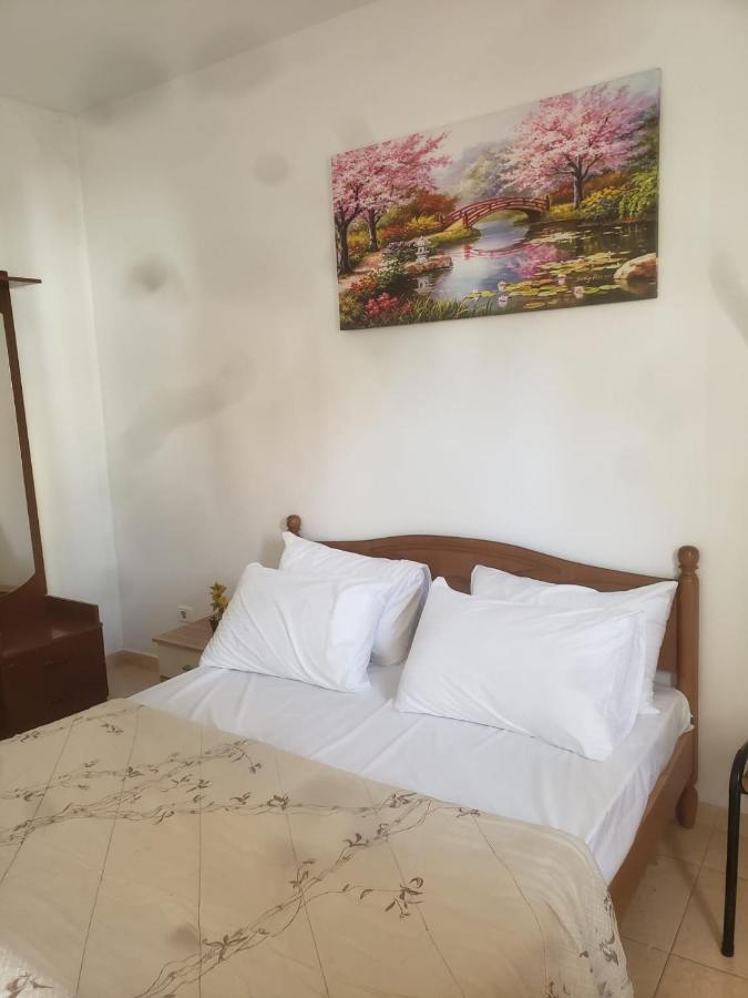 Hostel Split Rock Tiranë Ngoại thất bức ảnh